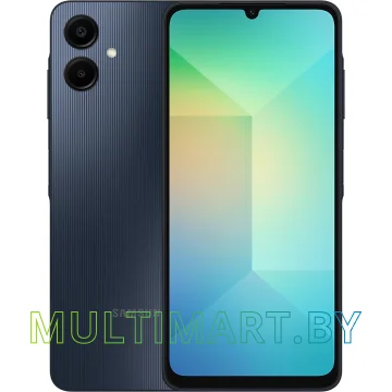 Смартфон Samsung Galaxy A06 SM-A065F 6GB/128GB (черный)